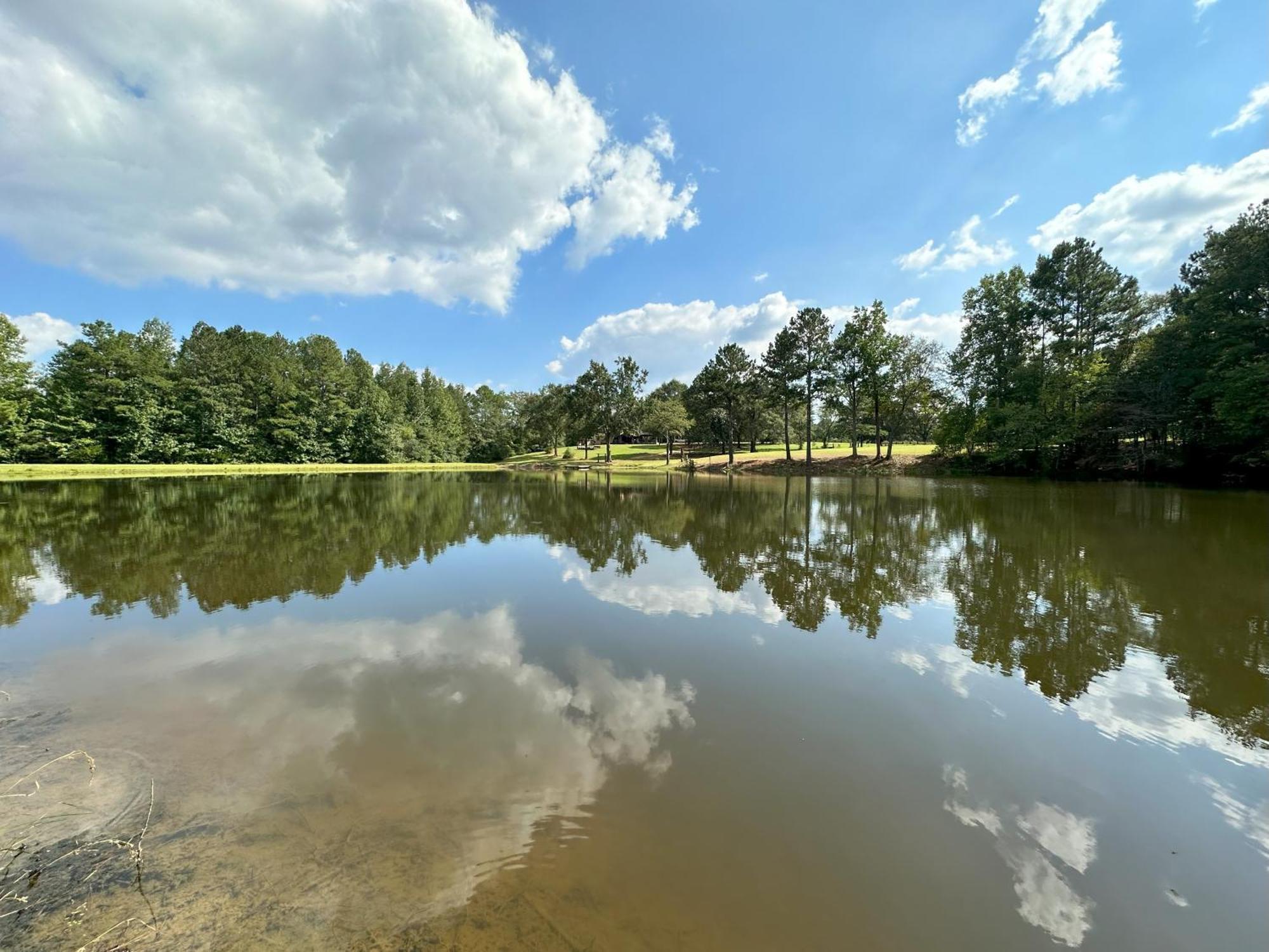 Refuge Ranch Retreat Log Cabin Lake 53+ Acres Locust Grove Zewnętrze zdjęcie